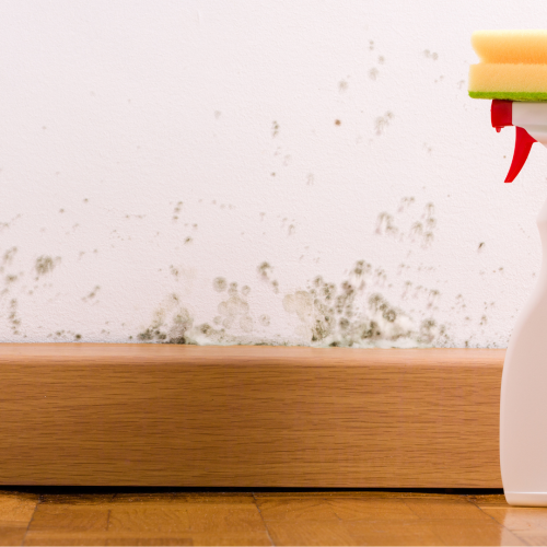 about-our-water-damage-company