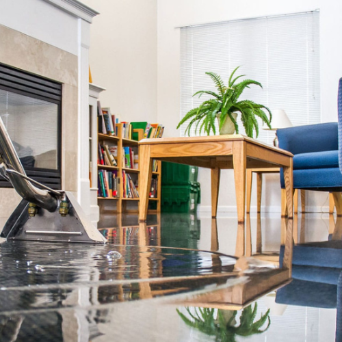 What to Expect from a Professional Water Damage Restoration Service?