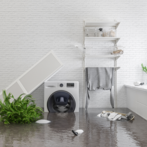 Water Damage Restoration: Why Timely Action is Crucial