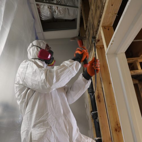 fire damage restoration services