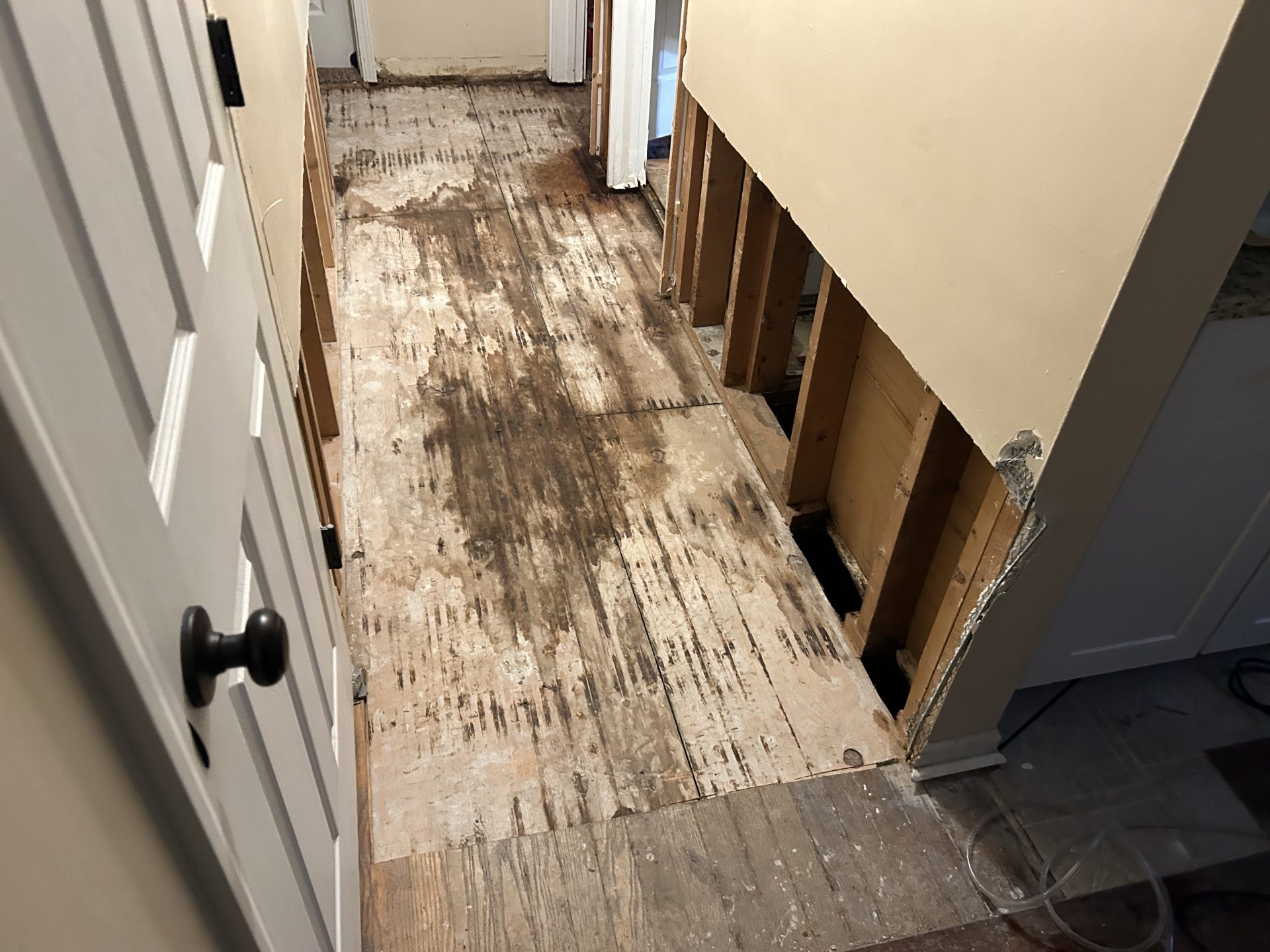 water damage restoration service