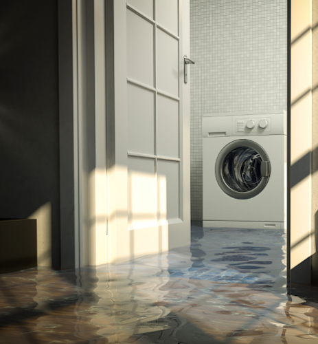 water damage cleanup