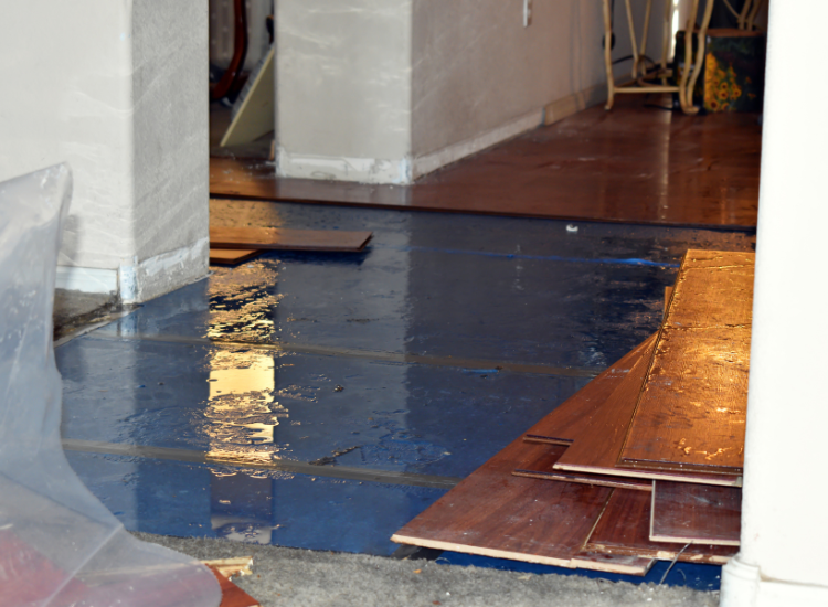 Flooded subfloor exposed during renovations.