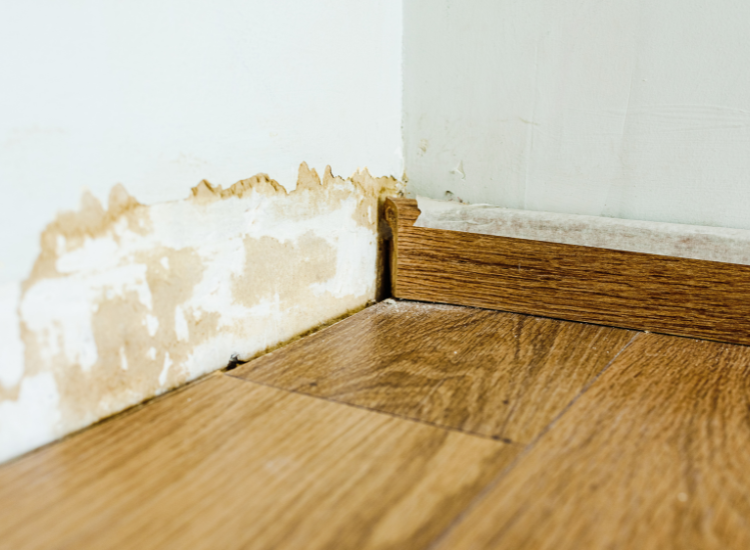 Water-stained wall corner above laminate flooring.