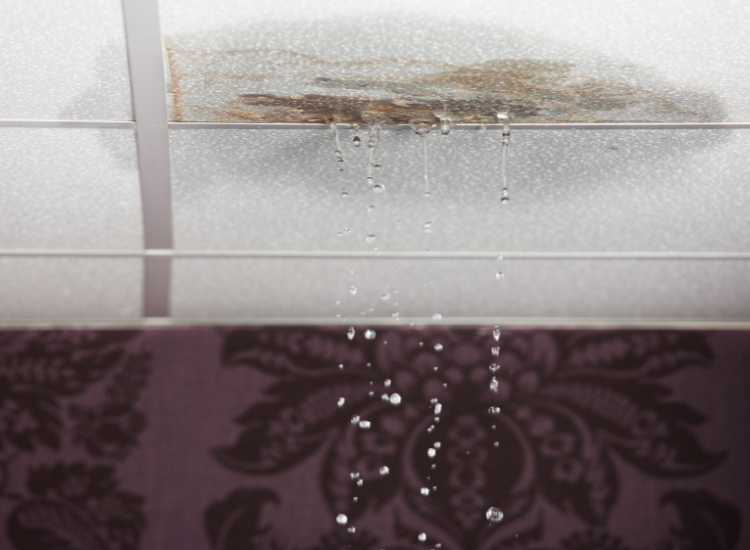 Active leak dripping from a damaged ceiling.